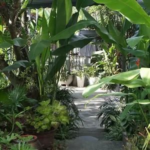 Sunny Garden , Hoi An Vietnam